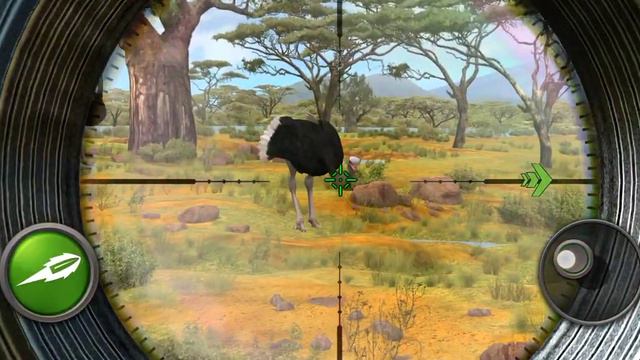 Hunting Clash-- Hunting Somali Ostrich in Tanzania смотреть онлайн