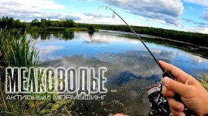 Рыбное мелководье. Активный МОРМЫШИНГ