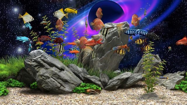 Relaxing aquarium + music #25 смотреть онлайн
