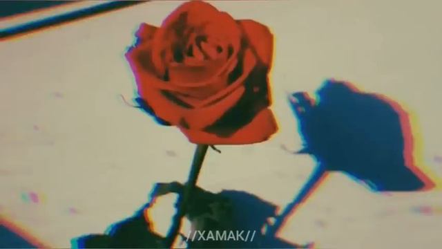 Los Acosta - Deja Una Rosa En Tu Balcón♡  (LETRA)