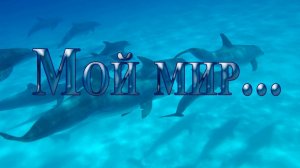 Мой мир! Он маленький, но все же мой