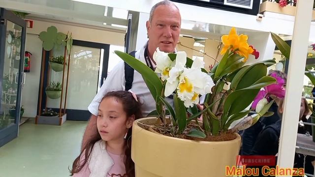 A Visit To Keukenhof 2022 || Part 2