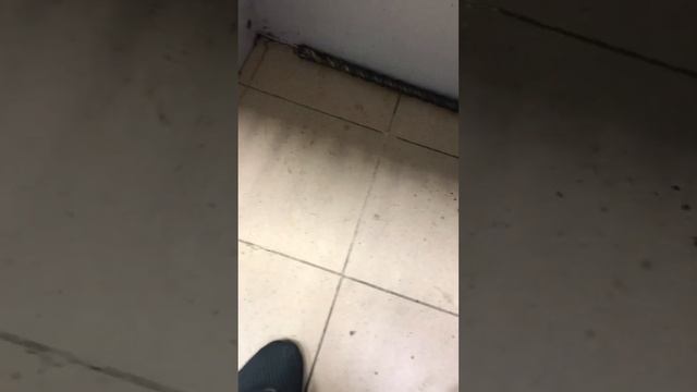 Проводной шуруповёрт Makita смотреть онлайн
