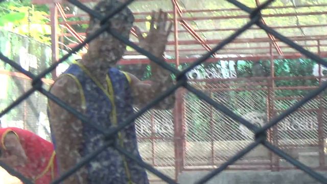 Путешествуем с детьми. Пхукет 3. смотреть онлайн