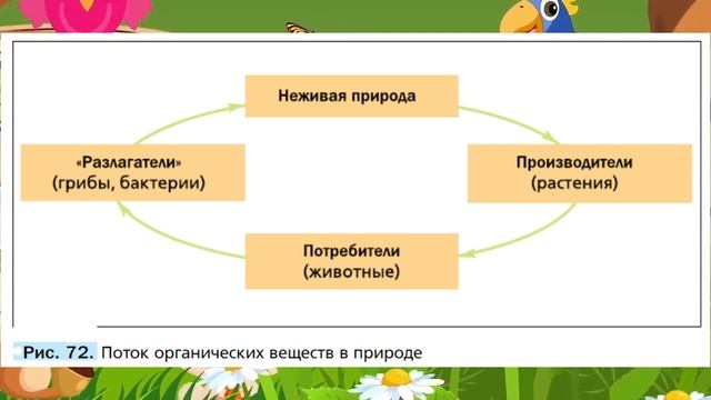 Биология, 5 кл., § 20 "Природные сообщества" смотреть онлайн