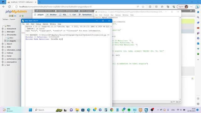 PBO IV python PIP mysql смотреть онлайн