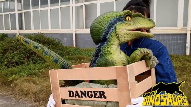 Party Dino Dino Baby: Velociraptor in Crate. смотреть онлайн