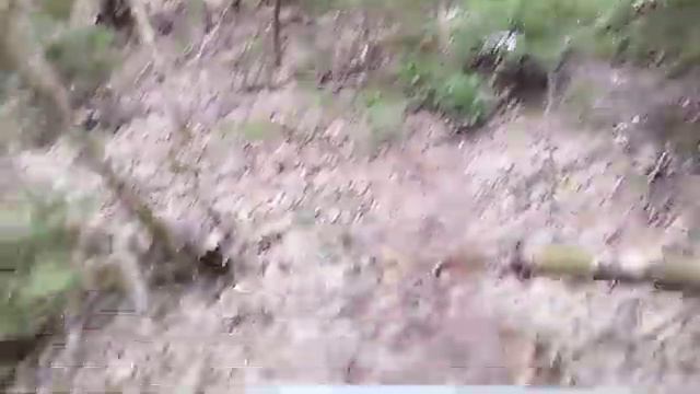 Новый сезон, новый тест глубинного металлоискателя! Сезон копа 2024. смотреть онлайн