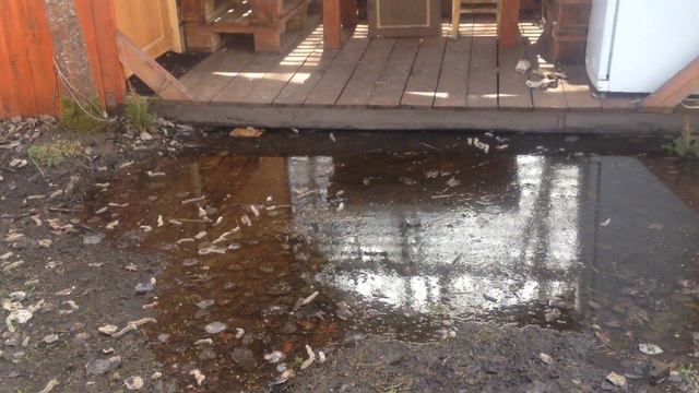 Половодье подошло к своему максимуму смотреть онлайн