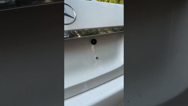 новые крепления-невидимки для гос. номеров автомобилей. смотреть онлайн