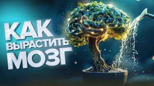 Восстановить нервные клетки и усилить способности мозга. На что способен НЕЙРОГЕНЕЗ?