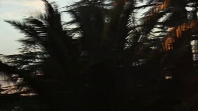 Гагра Абхазия пансионат Энергетик солнечный закат вечер. Страна души. Amza Park Hotel сейчас. смотреть онлайн