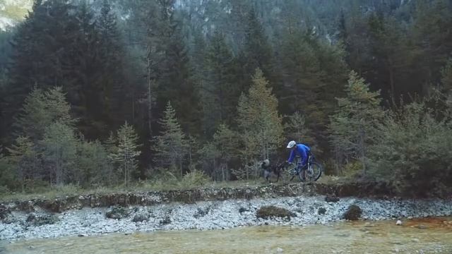 Поводок Hurtta X sport Leash желто черный для собак смотреть онлайн