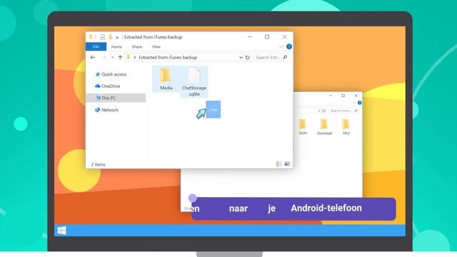 WazzapMigrator video tutorial - Dutch - 2019 смотреть онлайн