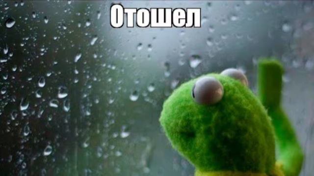 BLACK DESERT СТРИМ! СЕЗОННЫЙ СЕРВЕР! ЛУЧНИЦА