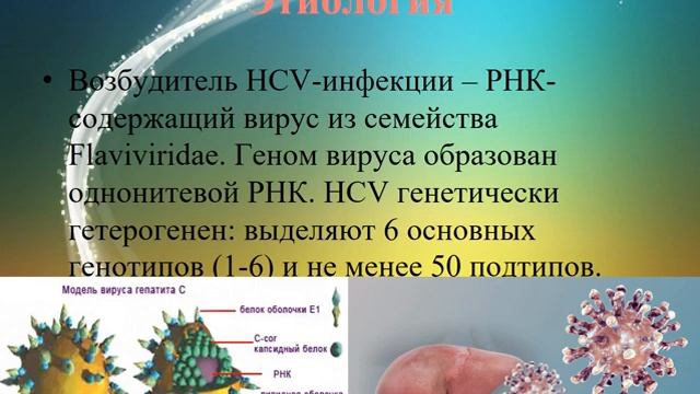 Вирусология. Семейство Гепаднавирусы. Вирус гепатита смотреть онлайн