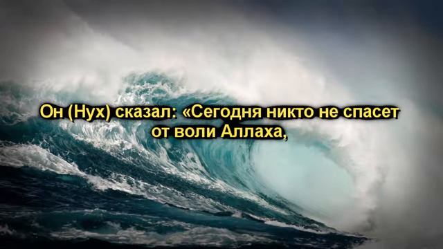 Мухаммад аль-Люхайдан-Коран. Сура "Худ" (36-49) смотреть онлайн