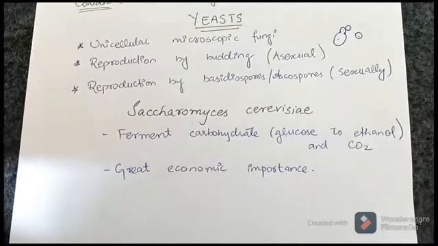 Ascomycota and Deuteromycota | Fsc pre medical Biology 11 | Ch 8 Fungi смотреть онлайн