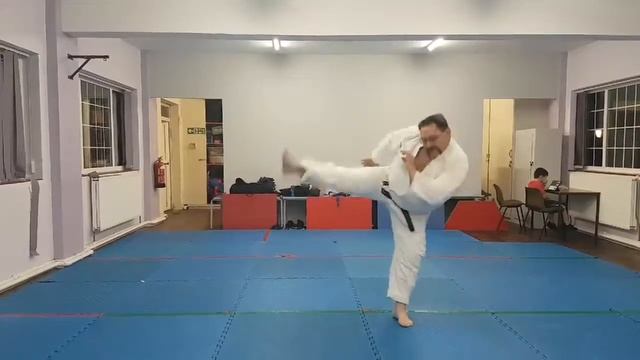 Kihon Sho Kata смотреть онлайн