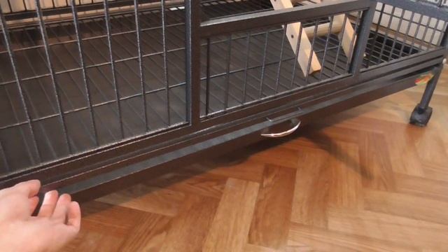 Денис TV- обзор клетки для больших птиц TRIOL SY-209/ПОДАРИЛИ МОЛУККСКОГО КАКАДУ!!! смотреть онлайн