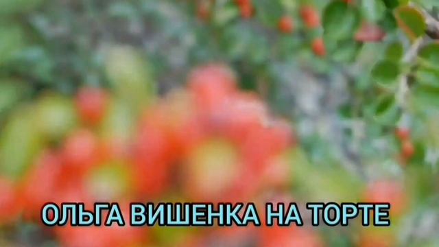 СВИНАЯ КИШКА НАБИТА! ОЛЬГА УРАЛОЧКА LIVE. ОБЗОР ВЛОГА. смотреть онлайн