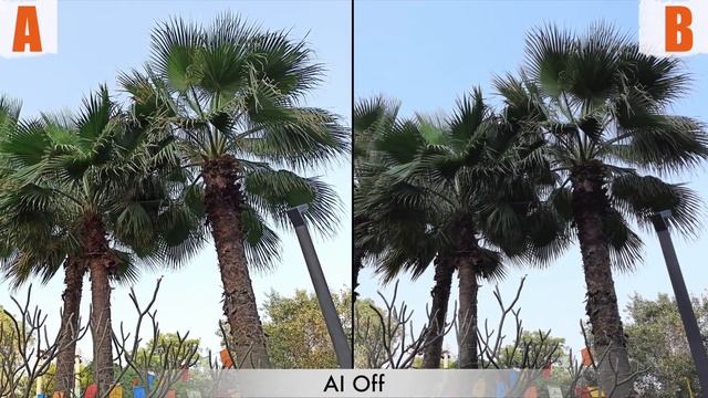 Samsung Galaxy M31 vs Redmi Note 8 Pro: Blind camera test смотреть онлайн