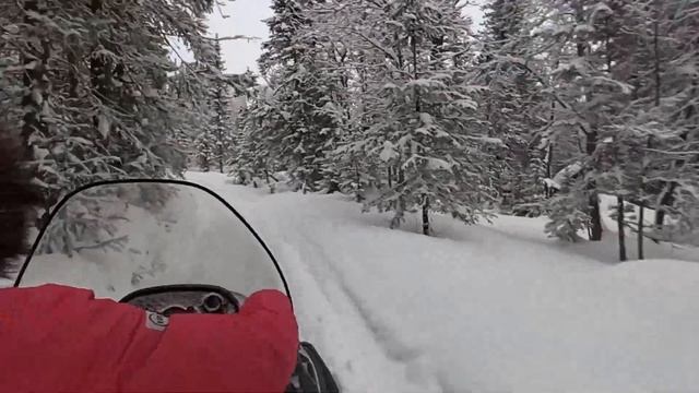 Конжак 30.01.2021 смотреть онлайн
