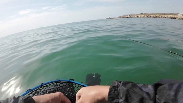 Дорада на ультралайт (часть 2). Рыбалка на Дельте Эуро смотреть онлайн