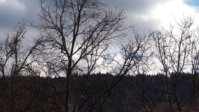 Palina - Месяц (acoustic Cover)