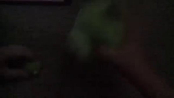 Piggy Tales: Abduction (Plush Version)