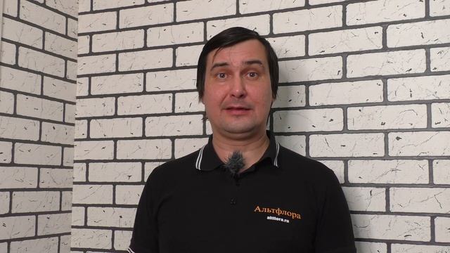 Средства против медведки, проволочника, хруща на основе диазинон: Гром, Террадокс, Провотокс, Земли смотреть онлайн