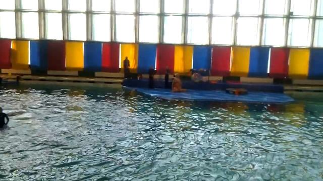 Утришский дельфинарий. Белуха и человек танцуют в воде смотреть онлайн