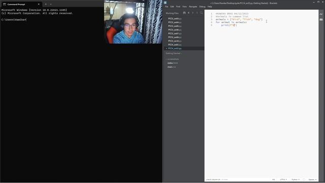 Learn Python With Me: PCC4 Example 02 смотреть онлайн
