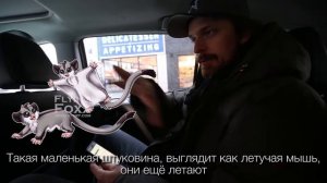 Непрактичные шутники/ Impractical JOKERS поиск локаций