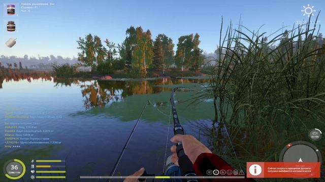 Где ловить КАРПА НОВИЧКУ? ● Русская Рыбалка 4 | РР4 смотреть онлайн