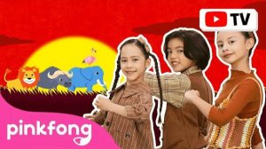 [4K] Hakuna matata | Dance Along | Kids Rhymes | Let's Dance Together! | Pinkfong Songs