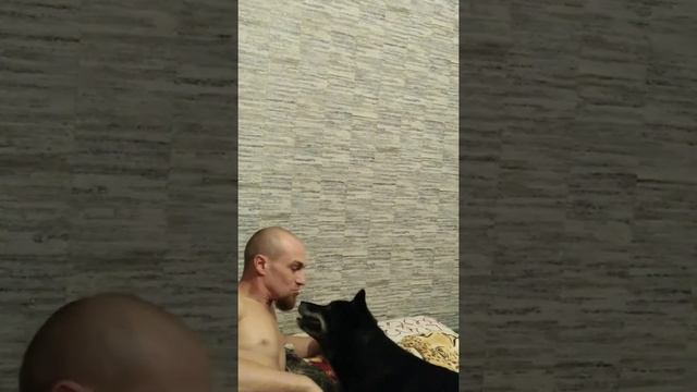 Опасные ласки с хаски смотреть онлайн