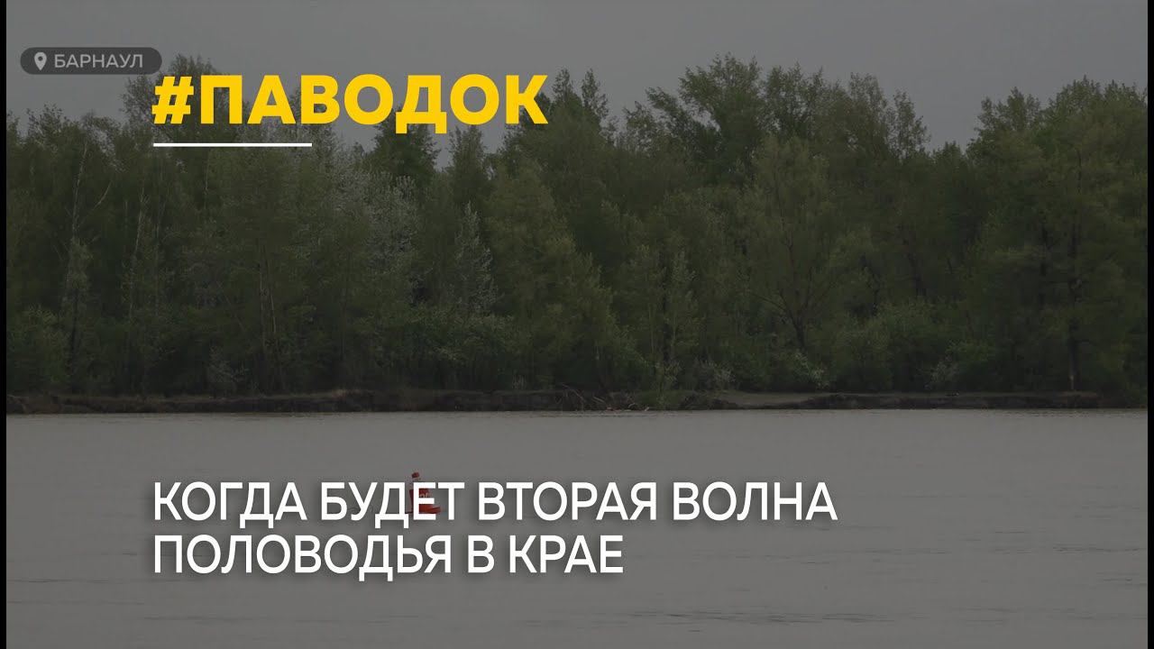 Когда будет вторая волна паводка в Алтайском крае смотреть онлайн
