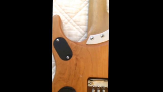 Original 1991-92 Davies Washburn N4 смотреть онлайн