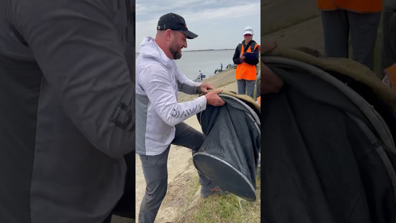 Пётр Петрович! Взвешивание! Момент истины! смотреть онлайн