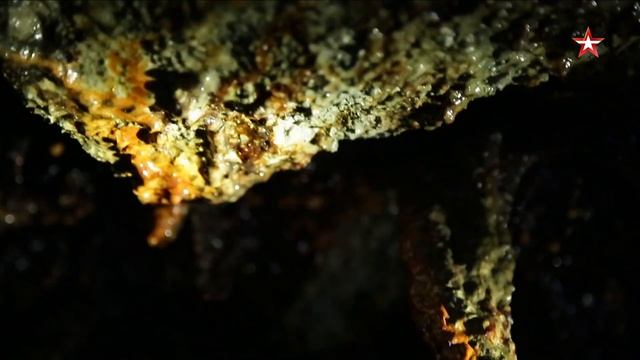 Не факт! Платиновая экспедиция Александра Гумбольдта. Смотрите 15 августа в 11:55 смотреть онлайн