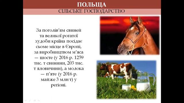 РЕСПУБЛІКА ПОЛЬЩА смотреть онлайн