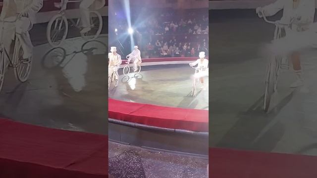 Выступление,Пермский цирк, Империя львиц,шоу,велофигуристы,краткий обзор,новогодние каникулы в Перм смотреть онлайн