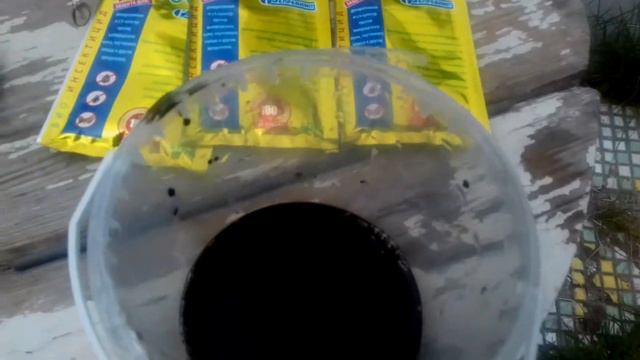 Мой сад 2 июня 2021 года. Подкормка и профилактика от болезней и вредителей. смотреть онлайн