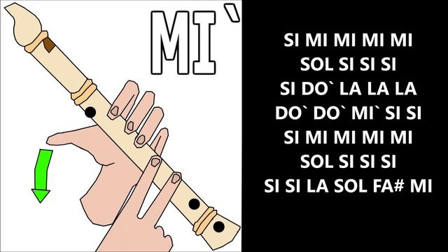 TikTok, The Wellerman, flauta dulce fácil, easy flute recorder, flauta doce, flauto dolce смотреть онлайн