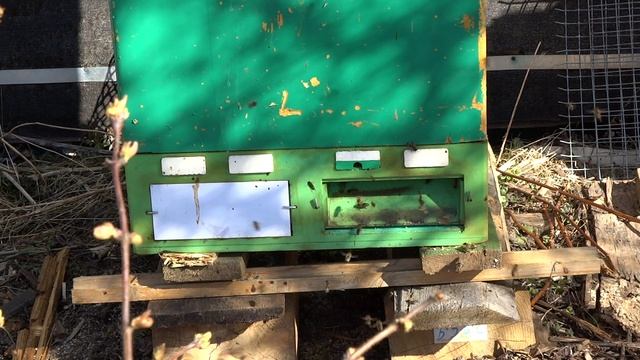 Облёт Средне Русских пчёл в 10 рамочнике по методу Моно-Гнездо, 26.03.2020-14.39 смотреть онлайн