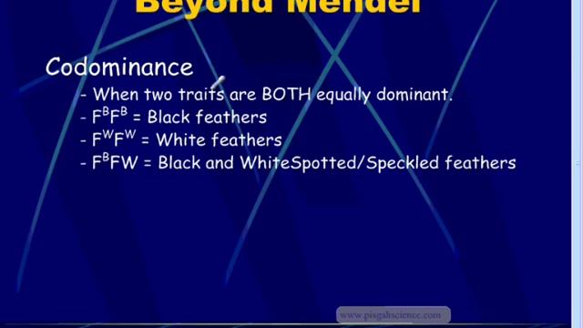 Incomplete Dominance and Codominance - A Quick Tutorial смотреть онлайн