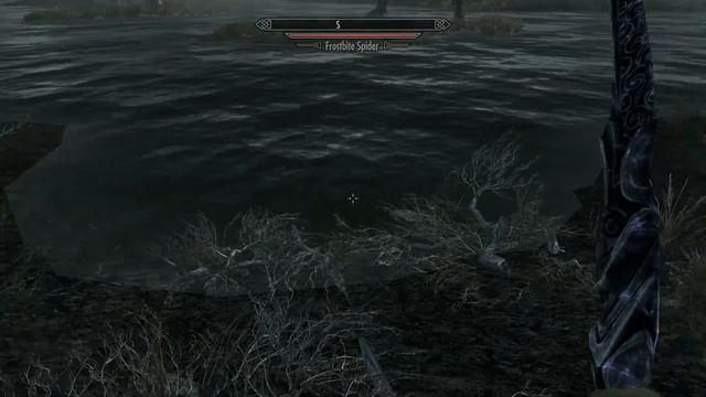Elder Scrolls V  Skyrim Flashing Water Bug.