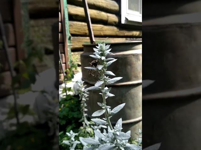 22 августа 2022 г. смотреть онлайн