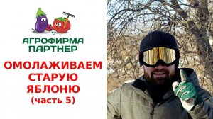 ОМОЛАЖИВАЕМ СТАРУЮ ЯБЛОНЮ. ФОРМИРОВАНИЕ КРОНЫ. (часть 5)